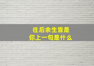 往后余生皆是你上一句是什么