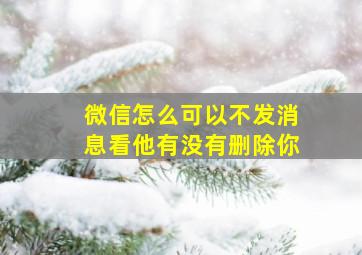 微信怎么可以不发消息看他有没有删除你