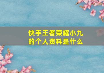 快手王者荣耀小九的个人资料是什么