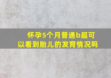 怀孕5个月普通b超可以看到胎儿的发育情况吗