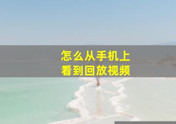 怎么从手机上看到回放视频