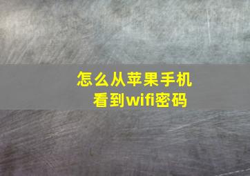 怎么从苹果手机看到wifi密码