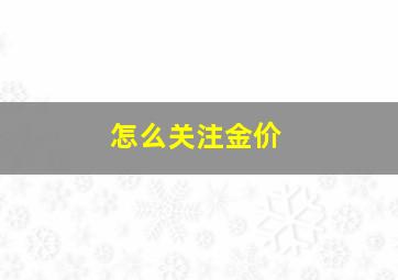 怎么关注金价