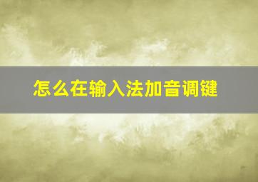 怎么在输入法加音调键