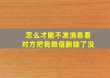 怎么才能不发消息看对方把我微信删除了没