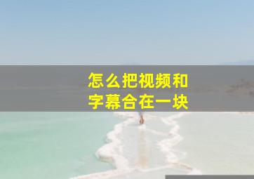 怎么把视频和字幕合在一块