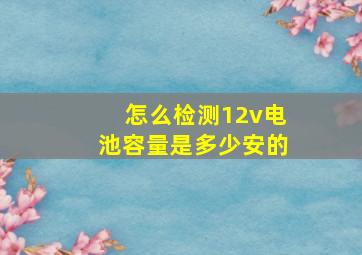 怎么检测12v电池容量是多少安的