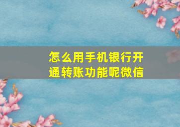 怎么用手机银行开通转账功能呢微信