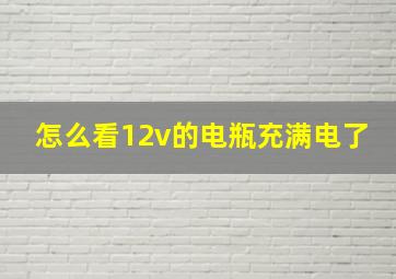 怎么看12v的电瓶充满电了