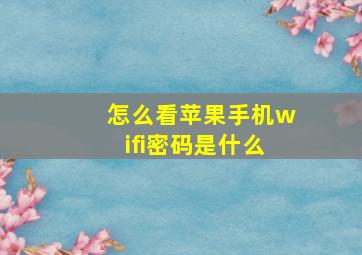 怎么看苹果手机wifi密码是什么