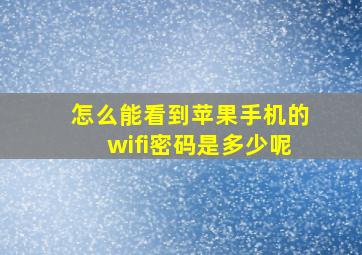 怎么能看到苹果手机的wifi密码是多少呢