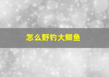 怎么野钓大鲫鱼