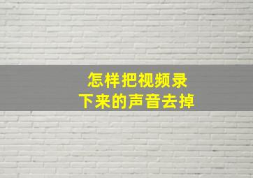 怎样把视频录下来的声音去掉