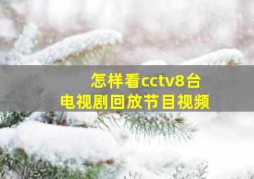 怎样看cctv8台电视剧回放节目视频