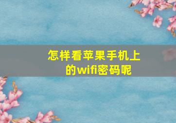 怎样看苹果手机上的wifi密码呢