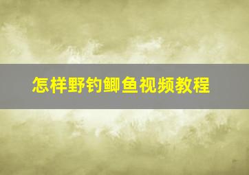 怎样野钓鲫鱼视频教程