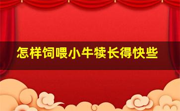 怎样饲喂小牛犊长得快些