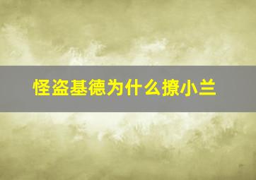 怪盗基德为什么撩小兰