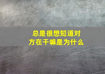 总是很想知道对方在干嘛是为什么