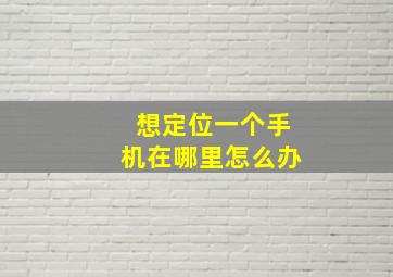 想定位一个手机在哪里怎么办