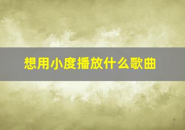 想用小度播放什么歌曲