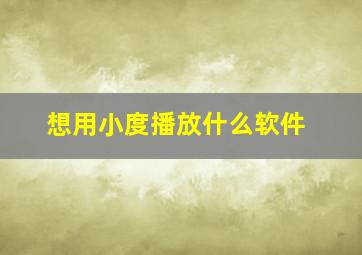 想用小度播放什么软件