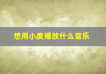 想用小度播放什么音乐