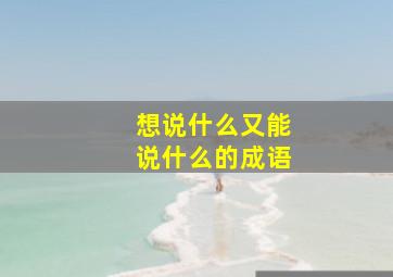 想说什么又能说什么的成语