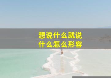 想说什么就说什么怎么形容