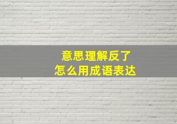 意思理解反了怎么用成语表达