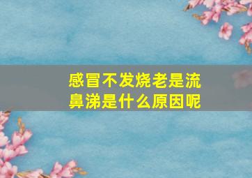 感冒不发烧老是流鼻涕是什么原因呢