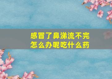 感冒了鼻涕流不完怎么办呢吃什么药