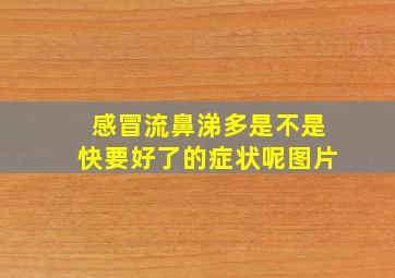 感冒流鼻涕多是不是快要好了的症状呢图片