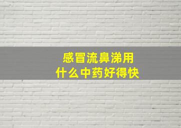 感冒流鼻涕用什么中药好得快