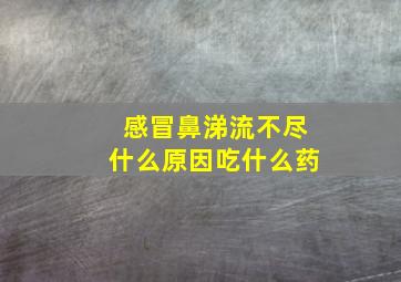 感冒鼻涕流不尽什么原因吃什么药