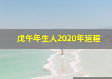 戊午年生人2020年运程