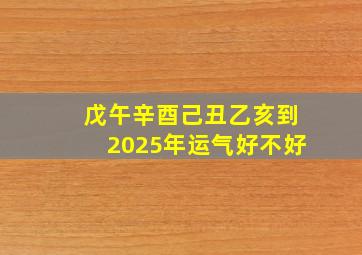 戊午辛酉己丑乙亥到2025年运气好不好