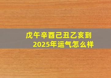 戊午辛酉己丑乙亥到2025年运气怎么样