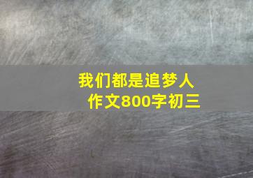 我们都是追梦人作文800字初三