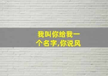 我叫你给我一个名字,你说风