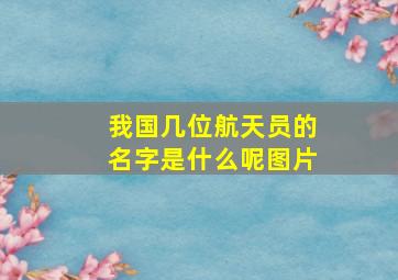 我国几位航天员的名字是什么呢图片