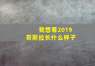 我想看2019哥斯拉长什么样子