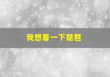 我想看一下琵琶