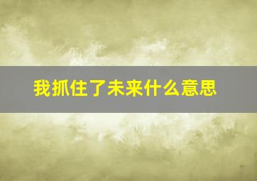 我抓住了未来什么意思