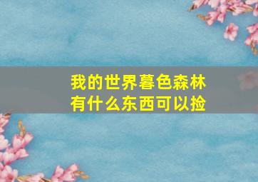 我的世界暮色森林有什么东西可以捡