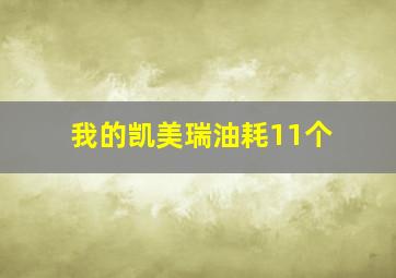 我的凯美瑞油耗11个