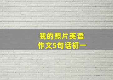 我的照片英语作文5句话初一