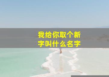 我给你取个新字叫什么名字