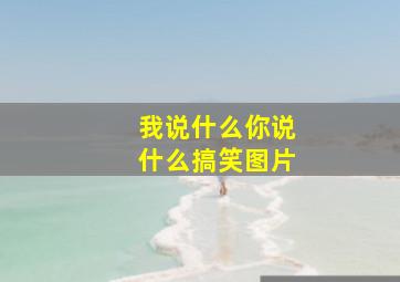 我说什么你说什么搞笑图片