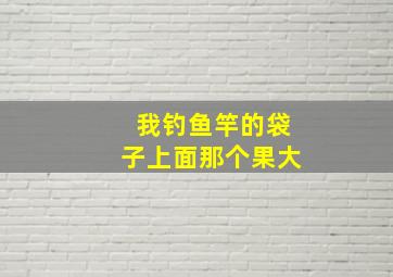 我钓鱼竿的袋子上面那个果大